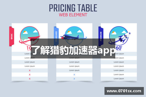 了解猎豹加速器app